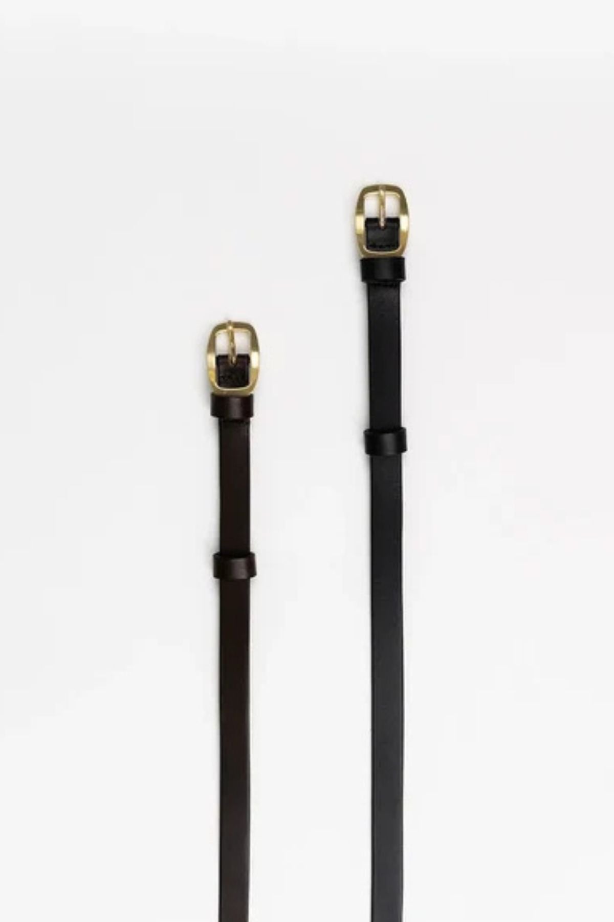 Twiggy Belt
