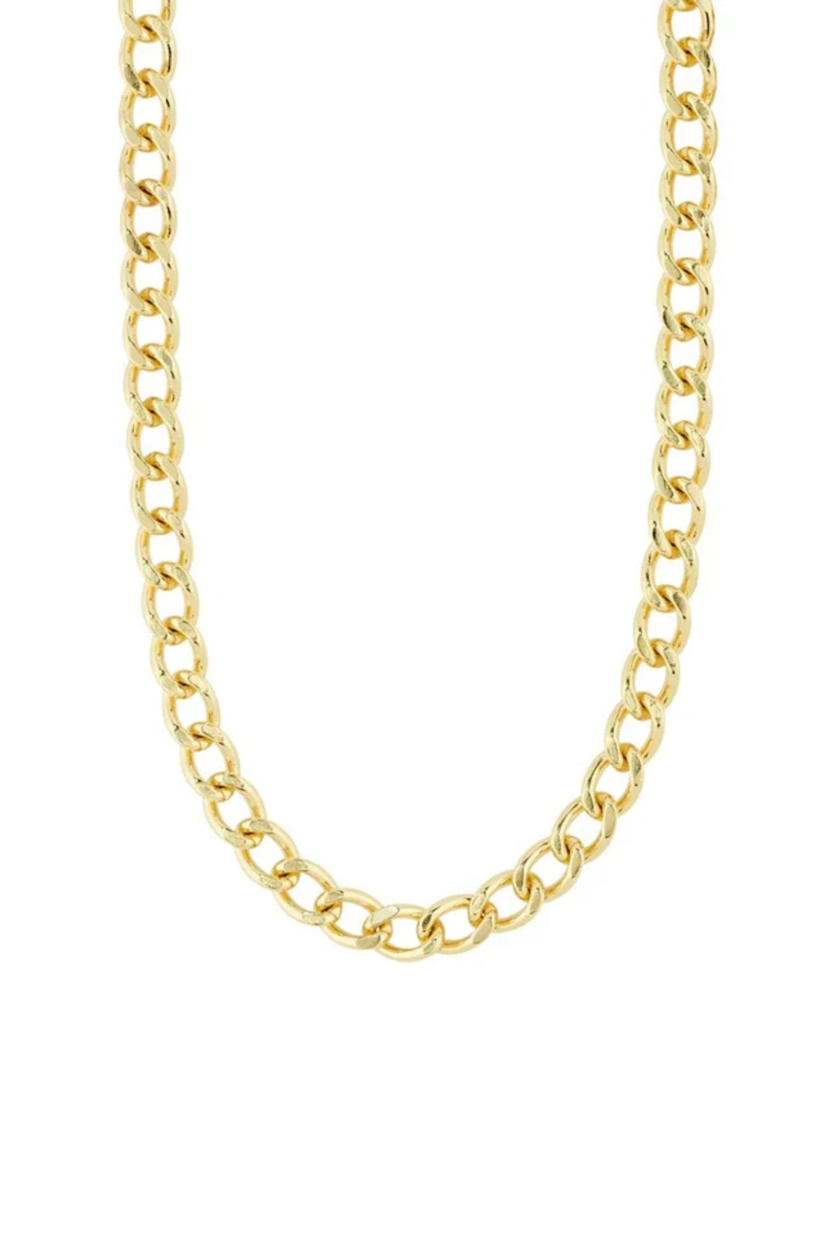 PILGRIM | CHARM RECYCLED CURB NECKLACE